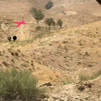 زمین۲۲۵مترتلوحکیمیه/شخصی/نقد/یاباماشین/توضیحات مهم