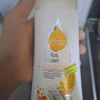 سگ پا کوتاه|سگ|شیراز, تندگویان|دیوار