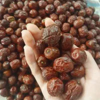 عناب درشت امسال