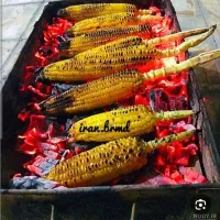 شاگرد برای کباب بلال و تخمه داغ|استخدام خدمات فروشگاه و رستوران|سراوان, |دیوار