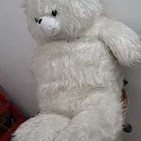 عروسک خرس سفید  برای هدیه دادن