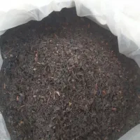 جشنواره عرضه چای|خوردنی و آشامیدنی|نور, |دیوار