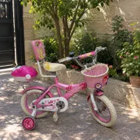 ۲ عدد دوچرخه سایز  ۲۰کورسی و ۱۲ دخترانه