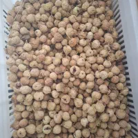 انجیر نرم تازه محصول امسال|خوردنی و آشامیدنی|شیراز, رازی|دیوار