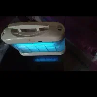 حشرات|خزنده|قم, هفت تیر|دیوار