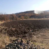 ۱۰۰۰متر مربع زمین کشاورزی کال|فروش زمین و ملک کلنگی|مریوان, |دیوار