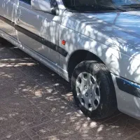 طوطی|پرنده|بم, |دیوار