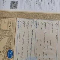 زمین گلبهار بخش ۷ جامع خیج فاز ۱ جهاد سنگ سفید|فروش زمین و ملک کلنگی|مشهد, جاهد شهر|دیوار