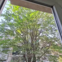 ۱۴۰ متر فروشی شکوفه، پیروزی، ایران