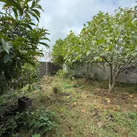 زمین و بنای کلنگی/ امتیازات نصب/نزدیک ساحل|فروش زمین و ملک کلنگی|خشکبیجار, |دیوار