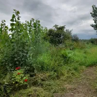 ۳ قطعه زمین باغی ۹۷۵متر مسکونی۴۱۶مترو ویلا معاوضه|فروش زمین و ملک کلنگی|لاهیجان, لیالستان|دیوار