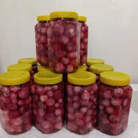 محصولات ارگانیک خانگی|عمده‌فروشی|گلپایگان, |دیوار