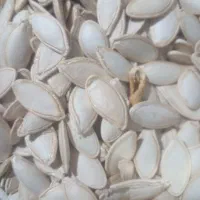 تخم کدو|خوردنی و آشامیدنی|سمیرم, |دیوار