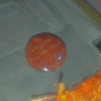 سنگ عقیق با حکاکی و ان یکاد...