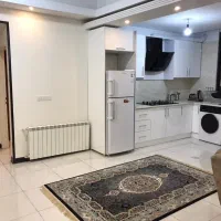 اجاره روزانه واحد و سوییت مبله/تهران|اجارهٔ کوتاه‌مدت آپارتمان و سوئیت|تهران, توحید|دیوار