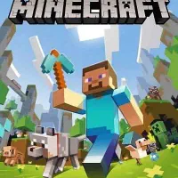 کارت ماینکرفت