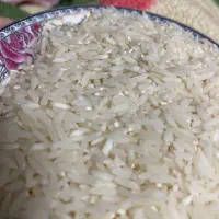 برنج طارم اصل مازندران زیر قیمت