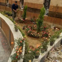 خدمات کلیه باغبانی باغچه کاری هرسکاری کاشت گل وگیا