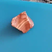 ماده بدرنگ دم سفید