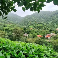 اجاره-سوئیت-تمیز-تو-روستا
