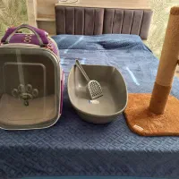 ملزومات گربه درحد نو نو|لوازم جانبی حیوانات|هشتگرد, فاز ۱ مهستان|دیوار