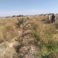 اجاره زمین کشاورزی