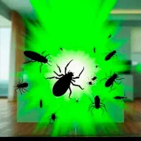 سمپاشی و موریانه زدایی بهبهان