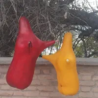 نی انبان|سازهای بادی|اهواز, کوروش|دیوار