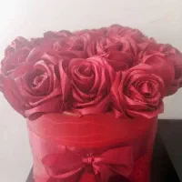 گل رز|گل مصنوعی|صدرا-فارس, فاز ۱|دیوار