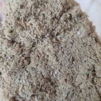 سبوس برنج تازه و طبیعی (مناسب انواع طیور)|حیوانات مزرعه|ری, فیروزآباد|دیوار