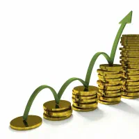 سرمایه گذار