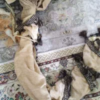 پرده مخمل و موکت|پرده، رانر، رومیزی|شیراز, شهرک فرهنگیان|دیوار