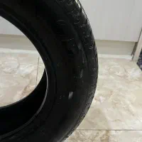 لاستیک بارز