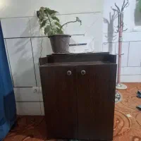 جاکفشی وچوب لباسی