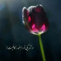 کانکس در خصوص کپی گرفتن و ابلاغیه قضایی