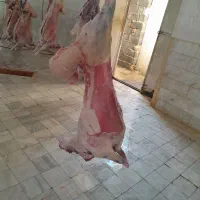 قصاب