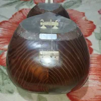 تار کوهی|سازهای سنتی|شهرکرد, |دیوار