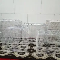 قفس پرنده
