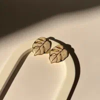 اکسسوری بدلیجات شیک