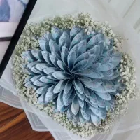 گل ابی|گل مصنوعی|تبریز, |دیوار