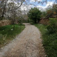 زمین کشاورزی بانیم ساعت آب قنات معاوضه با خودرو|فروش زمین و ملک کلنگی|تفت, |دیوار
