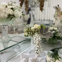 سالن عقد آرامیس|خدمات پذیرایی، مراسم|قم, بکایی|دیوار