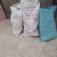 کود کبوتر  کفتز