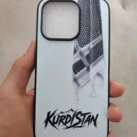 قاب ۱۴پرو