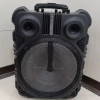 اسپیکر دوازده اینچ KTS 1195