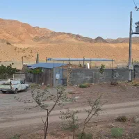 دامداری ۵۰۰راسی|فروش دفتر صنعتی، کشاورزی، تجاری|بیرجند, |دیوار