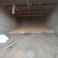 گندم بذری دیم