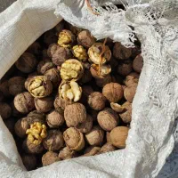 گردو با مغز اعلا