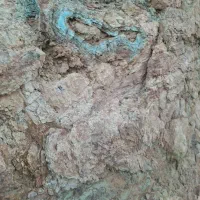 خریدار معدن|استخدام مالی، حسابداری، حقوقی|بیرجند, |دیوار