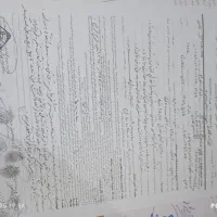 زمین مسکونی باغی|فروش زمین و ملک کلنگی|تالش, جوکندان|دیوار